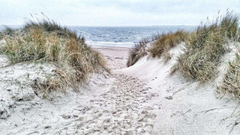 Insel Föhr